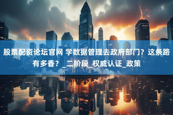 股票配资论坛官网 学数据管理去政府部门？这条路有多香？_二阶段_权威认证_政策