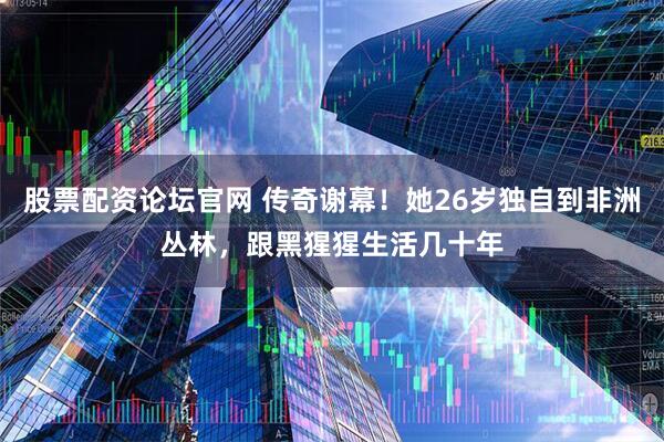 股票配资论坛官网 传奇谢幕！她26岁独自到非洲丛林，跟黑猩猩生活几十年