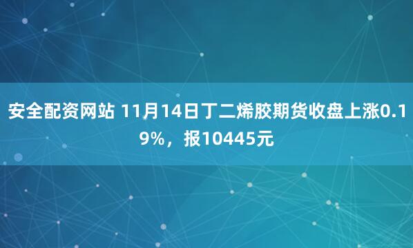 安全配资网站 11月14日丁二烯胶期货收盘上涨0.19%,报10445元